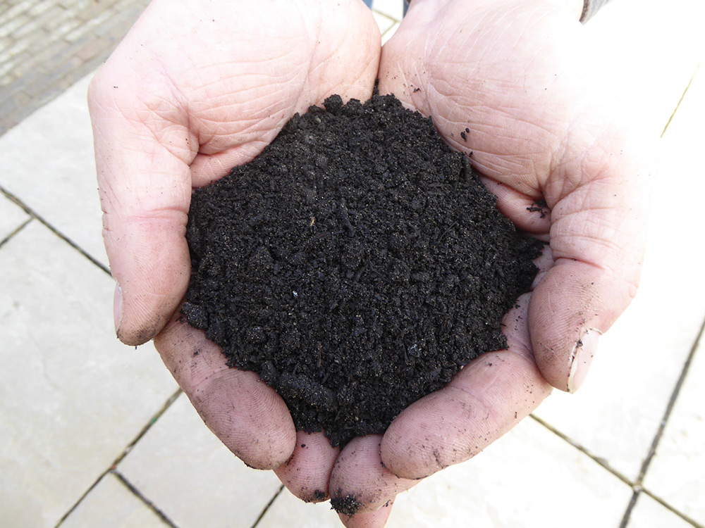 grass seed