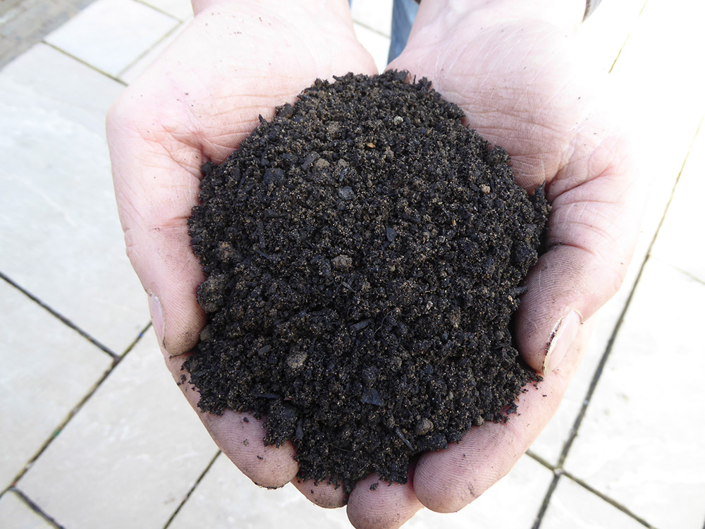 home-grown-lawn-turf