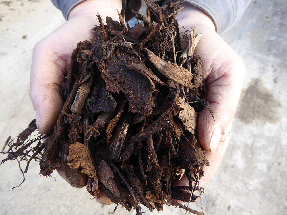 Ornamental Bark